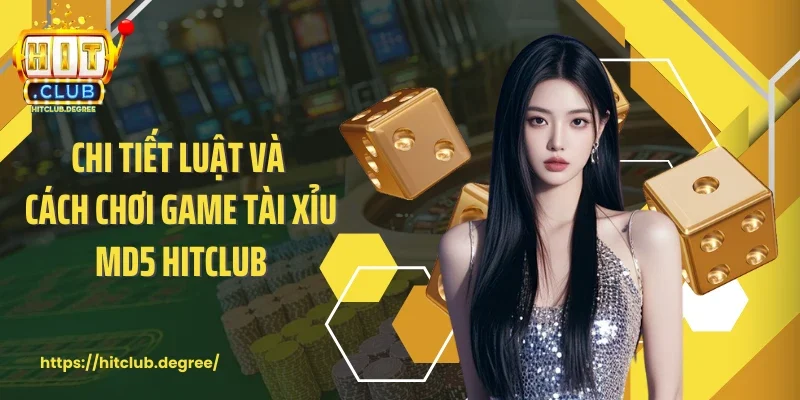 Chi tiết luật và cách chơi game tài xỉu MD5 Hitclub