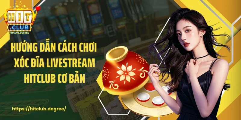 Hướng dẫn cách chơi xóc đĩa livestream Hitclub cơ bản